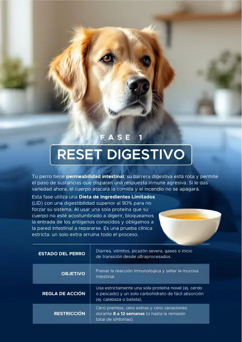 Portada Fase 1 Reset Digestivo
