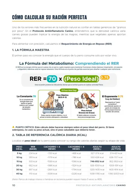 Guía cálculo de ración