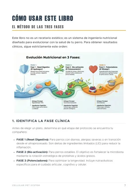Cómo usar este libro