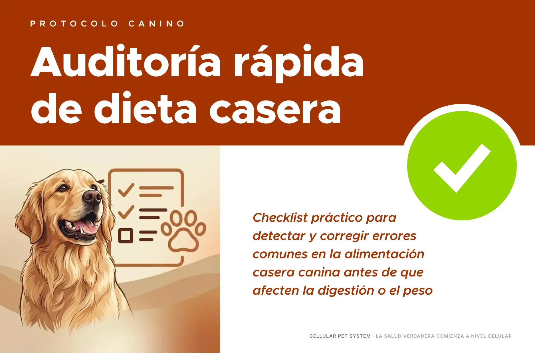 Bono 3: Checklist de Validación