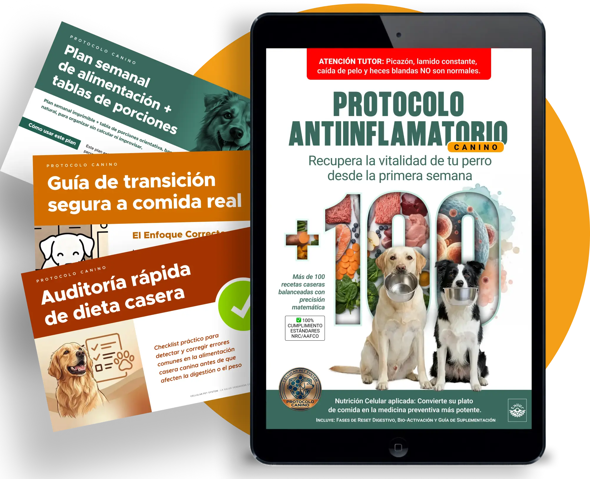 Pack completo Protocolo + 3 Bonos
