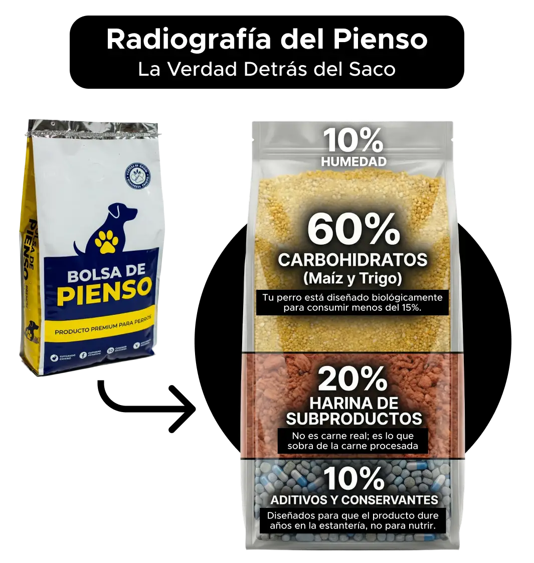 Pienso ultraprocesado vs comida real